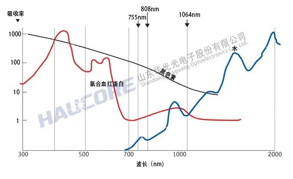 陕投新兴行业动态信息报告 2022年第7期(总第52期)